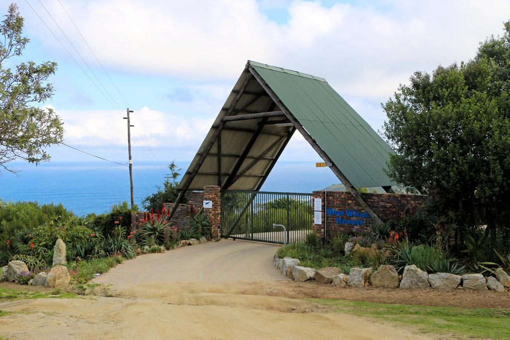 Blue Whale Resort George Exterior foto